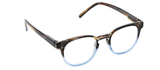Dynomite Blue & Brown Reading Glasses w/Blue Light lenses